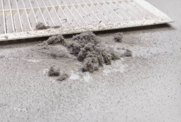 Best Ventilation Cleaning Services  in Frenchtown, MT