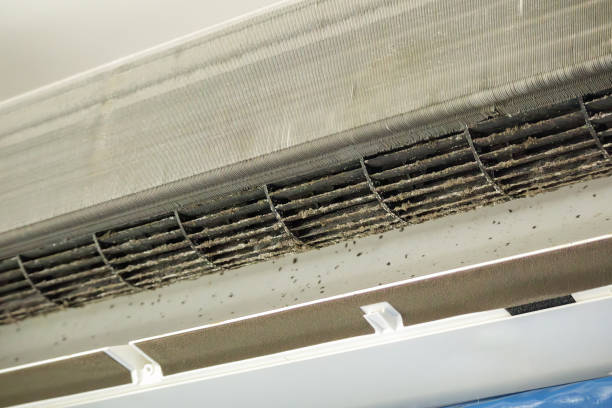 Best Residential Air Duct Cleaning  in Frenchtown, MT